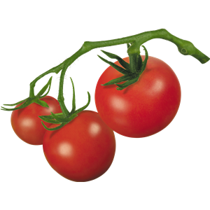 Tomato PNG-12519